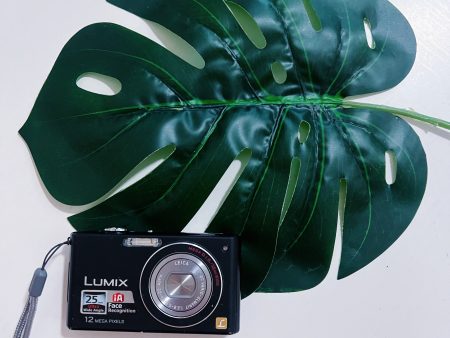 Panasonic Lumix DMC-FX40 For Cheap