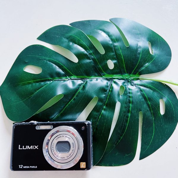 Panasonic Lumix DMC-FS10 Online Sale